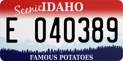 ID license plate E040389