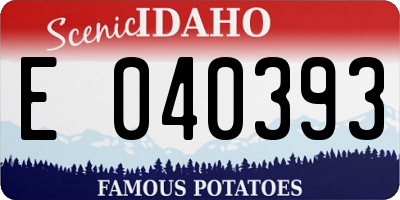 ID license plate E040393