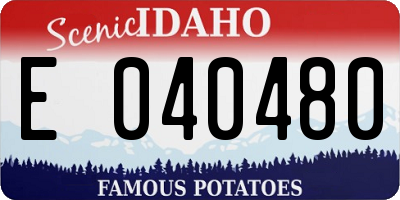 ID license plate E040480