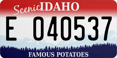 ID license plate E040537