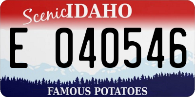 ID license plate E040546