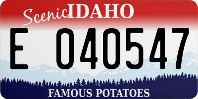 ID license plate E040547