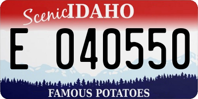 ID license plate E040550