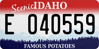 ID license plate E040559