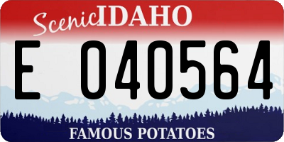 ID license plate E040564