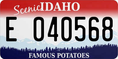 ID license plate E040568