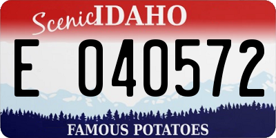 ID license plate E040572