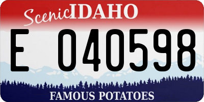 ID license plate E040598
