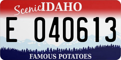 ID license plate E040613