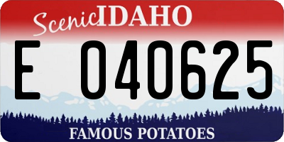 ID license plate E040625