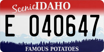 ID license plate E040647
