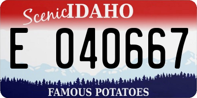 ID license plate E040667