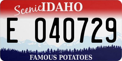 ID license plate E040729
