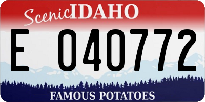 ID license plate E040772