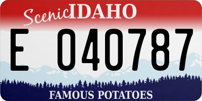 ID license plate E040787