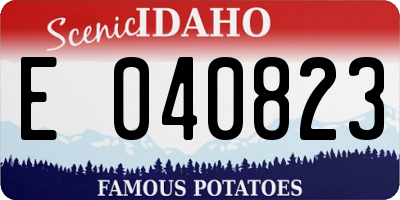 ID license plate E040823