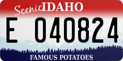ID license plate E040824