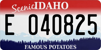 ID license plate E040825