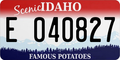 ID license plate E040827