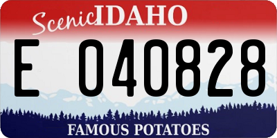 ID license plate E040828