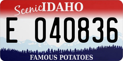 ID license plate E040836