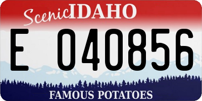 ID license plate E040856