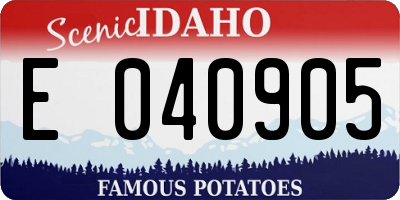 ID license plate E040905
