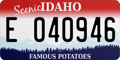 ID license plate E040946