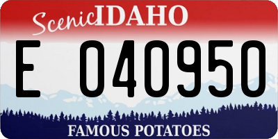 ID license plate E040950