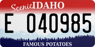 ID license plate E040985