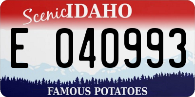 ID license plate E040993