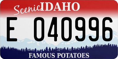 ID license plate E040996