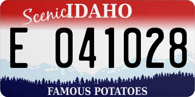 ID license plate E041028