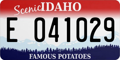 ID license plate E041029