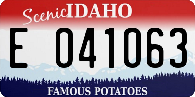 ID license plate E041063