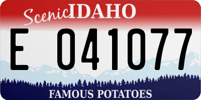 ID license plate E041077