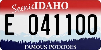 ID license plate E041100