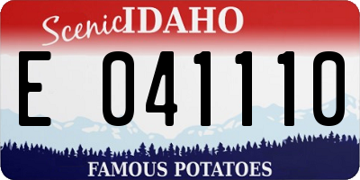 ID license plate E041110