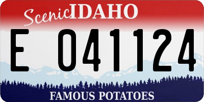 ID license plate E041124