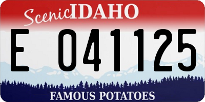 ID license plate E041125