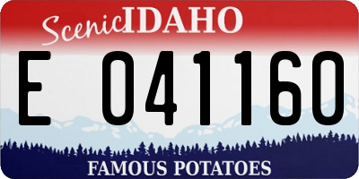 ID license plate E041160