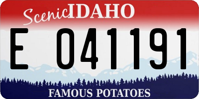 ID license plate E041191