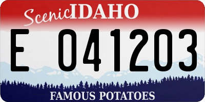 ID license plate E041203