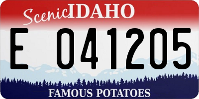 ID license plate E041205