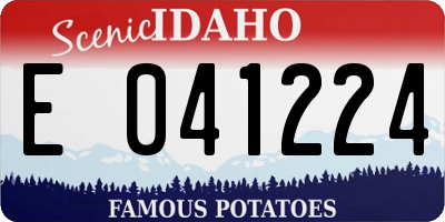 ID license plate E041224