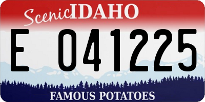 ID license plate E041225
