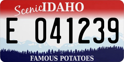 ID license plate E041239