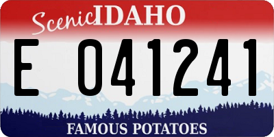 ID license plate E041241