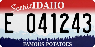 ID license plate E041243