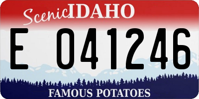 ID license plate E041246